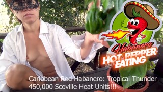 Outdoors Carribean Red Habanero Hot Pepper Consumption