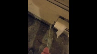 Pee Teaser For Piss Trashing And Dilapidated Bathrooms