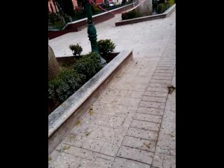 Encuentro A La Novia De Mi Amigo En El Centro Y Termina Chupandomela