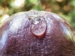 Here is an Extreme Close up Satisfying Precum Play to get you Falling Asleep- (Loud Moaning Cumshot)