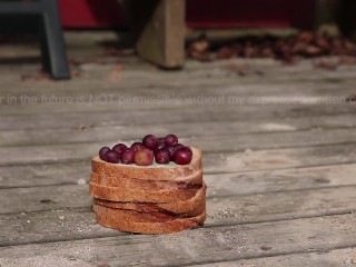 Here is your breakfast, enjoy!Crushing Moldy Bread_With Grape