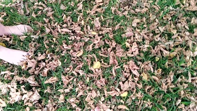 two sexy pairs of feet stepping on crunchy fall leaves