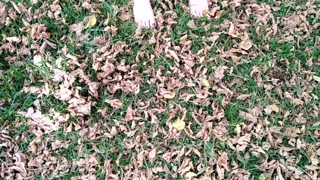 two sexy pairs of feet stepping on crunchy fall leaves