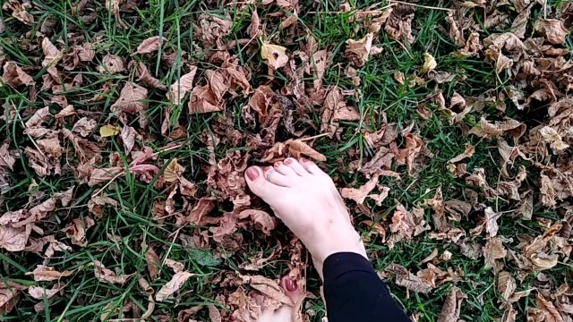 two sexy pairs of feet stepping on crunchy fall leaves