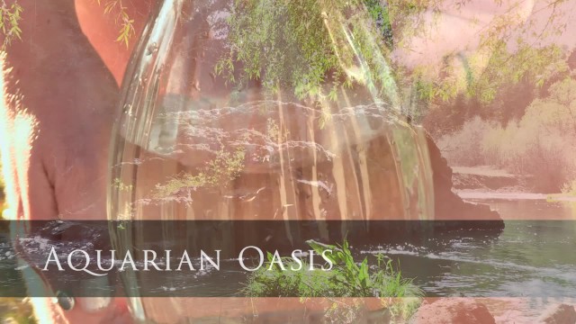 Aquarian Oasis Trailer