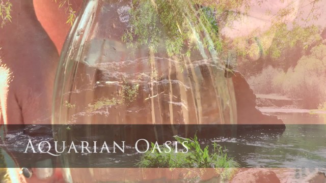 Aquarian Oasis Trailer