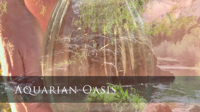 Aquarian Oasis Trailer