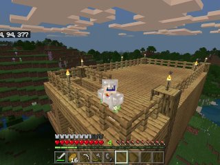 Minecraft Episode 4: Oops