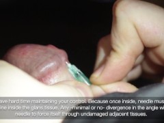 How to Pierce Through Male Genitals - Needle Play & CBT Safety Education (Glans Elasticity) - Part1