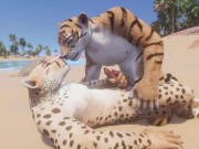 Wild Life / Hot Gay Furry Porn (Tiger and Leopard) | XXX Mobile Porn -  Clips18.Net