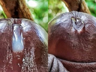 My Dripping Precum Is Enough To Fill Up Your Tight Pussy Extreme Close Up Precum Play (Loud Moaning)