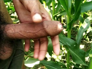 Indian big cock masturbation in_outdoor, viral