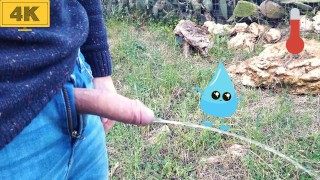 Taking A Walk In The Park With My Big Cock Out And Pissing Without Using My Hands