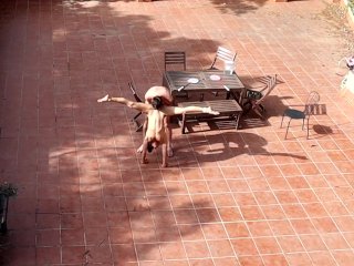 Couple PlayingAnd Fucking in the Courtyard,Outside
