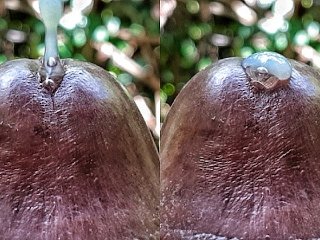 Huge Cum Explosion In The Jungle After A Horny Guy Attempted An Extreme Close Up Precum Play