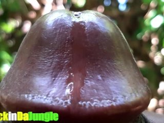 Huge Cum Explosion in the Jungle After a Horny Guy Attempted_An Extreme Close_Up Precum_Play