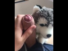 240px x 180px - Plushie Plushophile Plushophilia Cock Dick Videos and Gay Porn Movies ::  PornMD