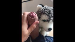 Jacking off again with my wolf plush