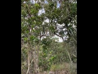 Fucking Outdoors, In The Woods With The Sound Of Insects (Part 1)