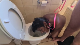 Desi A Human Toilet Indian Whore Is Pissed On And Her Head Is Flushed Followed By Sucking Dick