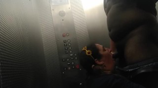  BBC fucks mature PAWG in the Motel 6 elevator