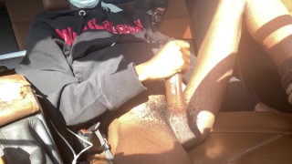 A Swift Whip Stroke
