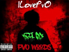ILovePvO - PvO Woods 13