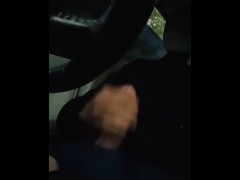 So horny had to pull over n pull my dick out