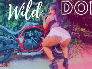 The Tourist Fell In Love With My Motorcycle And Sucked Everything