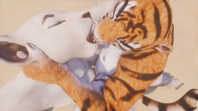 White Tiger Furry Porn Hd - Wild Life / Lesbian Furry Couple ðŸ¯ - Pornhub.com