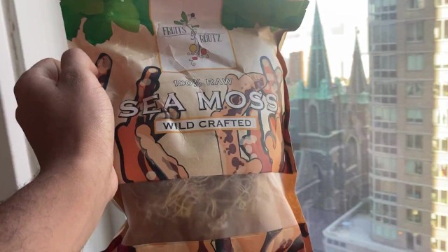 Fruits n Rootz Sea Moss Moment in New York City with Rock Mercury 1