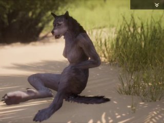 Wild_Life / Furry Girl's Masturbation_Compilation