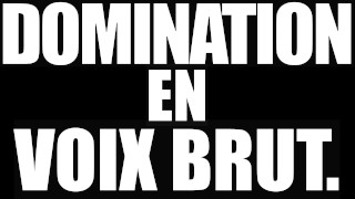 Puppy DOMINATION VERBALE BRUT NOUVEAU 2021