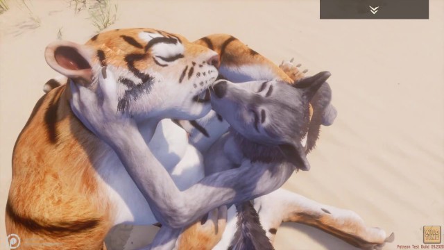 640px x 360px - Wild Life / Lesbian Furrie Porn Tiger and Wolf Girl - Pornhub.com