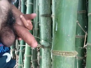 Indian Boy Cumming On Bamboo,Handjob Cumshot