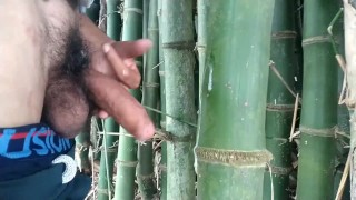 Masturbation Cumshot Of An Indian Boy Cumming On Bamboo