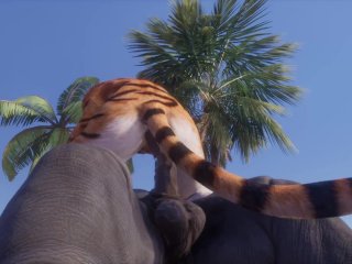 Wild Life / Furry Mating RihnoAnd Tiger
