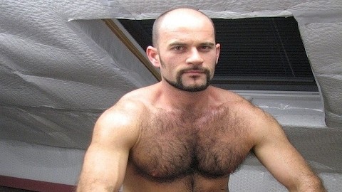 shaved head hairy gay porn star