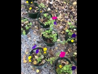 POV Risky Outdoor Pissing & Cumming Compilation_all over our potted flowers_at the campsite today