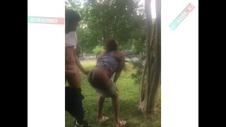 Free Black Shemale Public Porn Videos from Thumbzilla