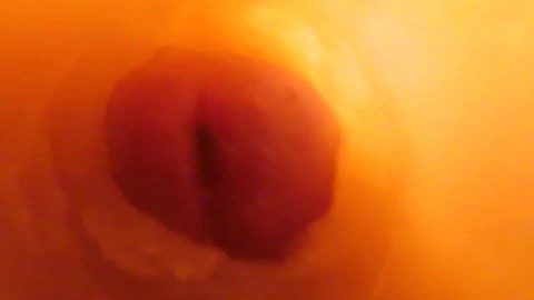 Ejaculate In Vagina Cam - Super Cum in Vagina. Excellent Internal Camera - Pornhub.com