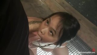 Asian Bondage Slut Sucks White Cock