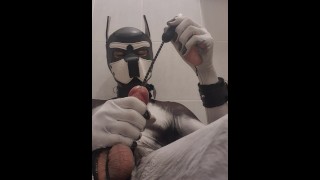 Cumshot Compilation Sounding Butt Plug And Cum With Vibrator During Puppy Playtime