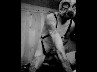 Solo pup wank withNew hood and tail