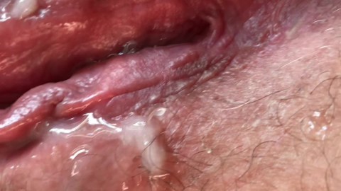 Best Pussy Close Up Porn Videos | Pornhub.com