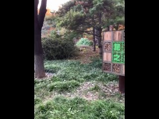 Outdoor Activities In Autumn, Middle Aged People Outdoor