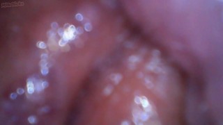 So I Inserted A Camera Into My Vagina In Order To Capture My Cervix's Point Of View During Sex