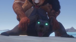 Orgasm Gay Lion And Wolf Fuck On The Beach And Have A Lot Of Cum Furry Orgasm In Mouth Wild Life Furries