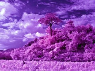 Guided Relaxation Meditation
