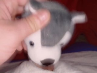Hauge Dog Fun#1